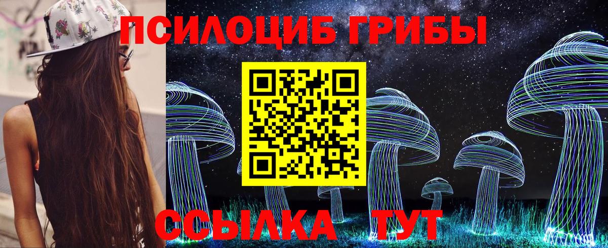 Псилоцибиновые грибы Psilocybine cubensis  Вход с VPN  Сочи 